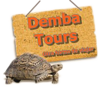 logo demba animal-kingdom